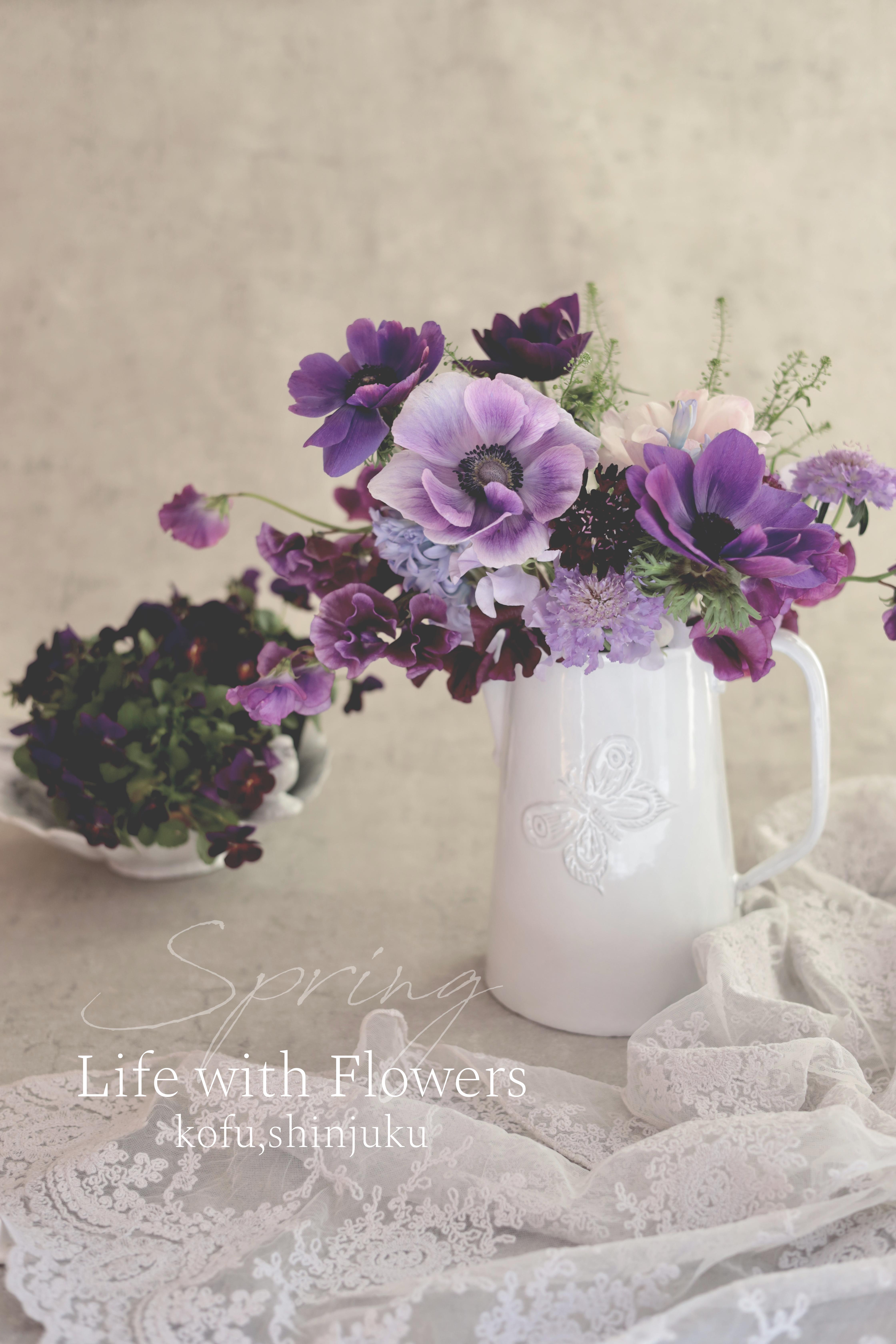 レッスン・イベント画像